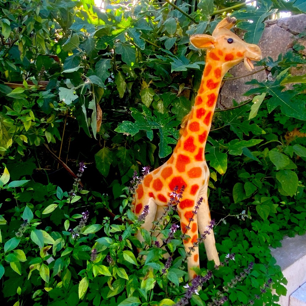 Rare antique MCM 29" STEIFF mohair standing Giraffe. see description